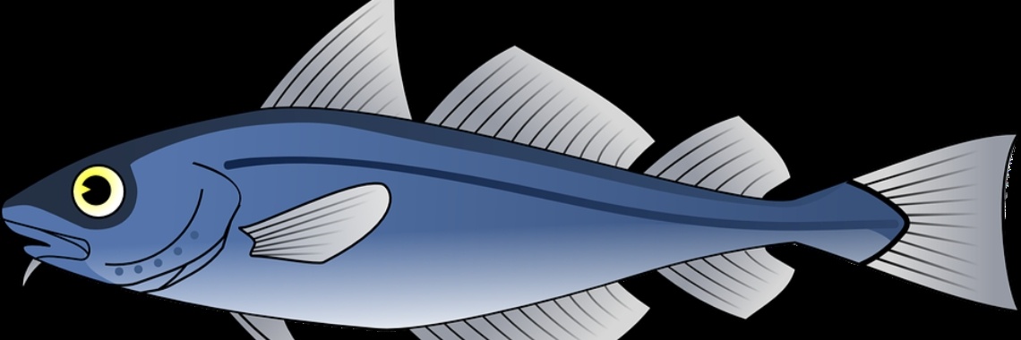 MyLife: Strontvis | wakeupkitty