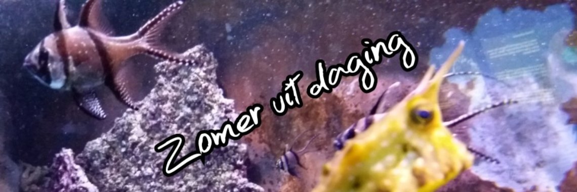 MyLife: Zomervakantie | wakeupkitty