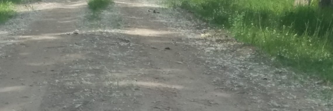 Nog een lange weg te gaan | wakeupkitty