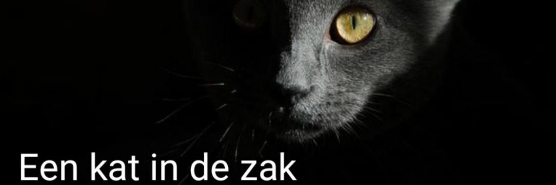 Opinion: Jammerlijke YAMA - 2  - hulp voor smartphonegebruikers (nieuw spreekwoord) | wakeupkitty