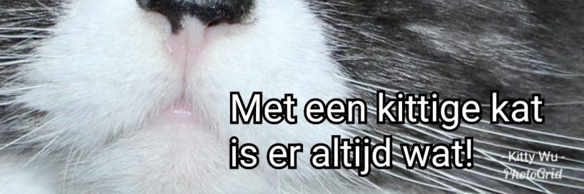 Opinion: Jammerlijke YAMA - alleen voor de smartphonegebruikers (nieuw spreekwoord) | wakeupkitty