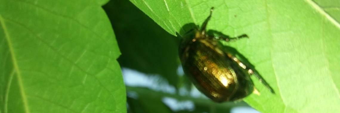 Opinion: Mijn glas is half vol | wakeupkitty