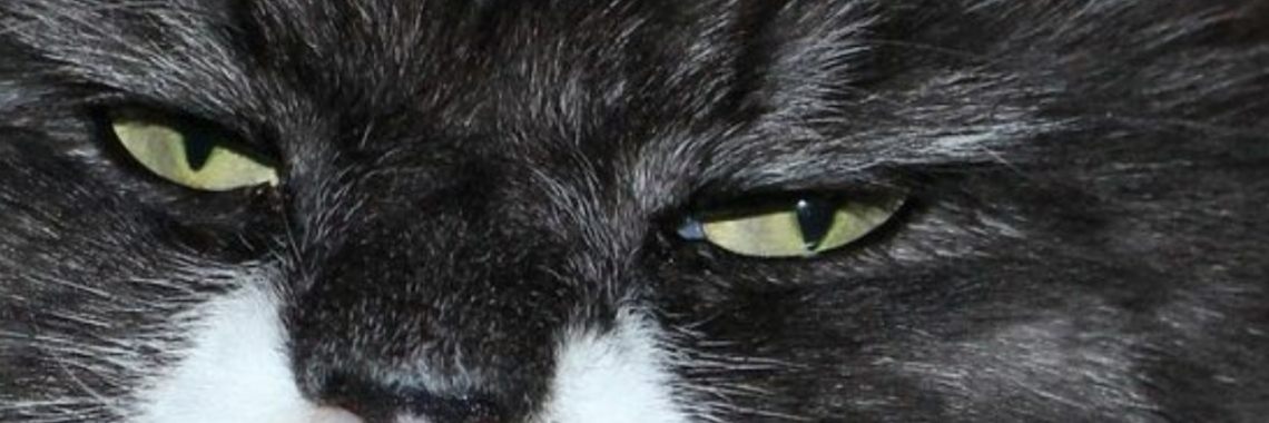 Opinion: Yoors - 1x posten 8x krijgen | wakeupkitty