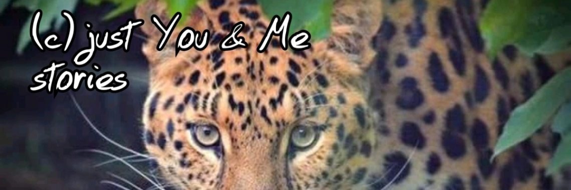 Samen: De avonturen van Kees (10) | wakeupkitty