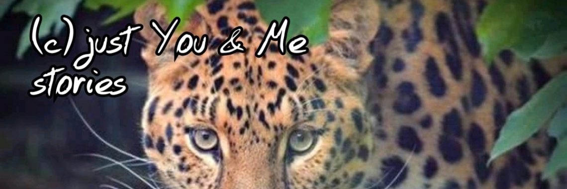 Samen: De avonturen van Kees (16) | wakeupkitty