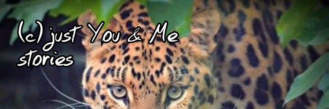 Samen: De avonturen van Kees (18) | wakeupkitty