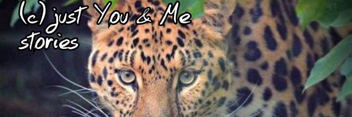 Samen: De avonturen van Kees (6) | wakeupkitty