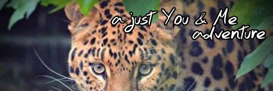 Samen: De Avonturen van Kees (alle 18 afleveringen + een extraatje) | wakeupkitty