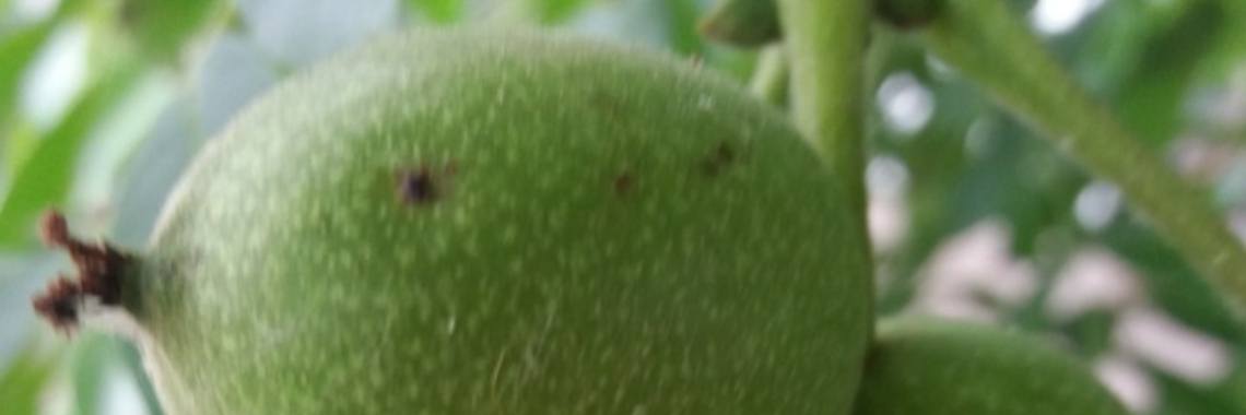 Stories: Anansi ontmoet meester Tijger op vakantie | wakeupkitty