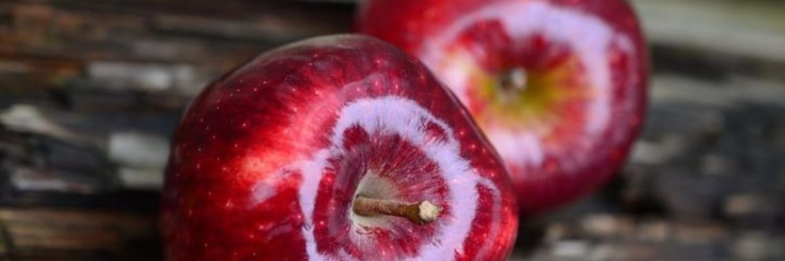 Stories: Appeltjes schillen met Sneeuwwitje (e.d.i.t) | wakeupkitty