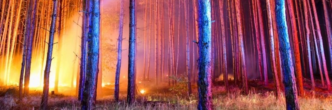 Stories: Brand Bamberg (madrigaal) | wakeupkitty