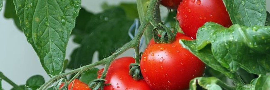 Stories: Het Aardmonster - 2 | wakeupkitty