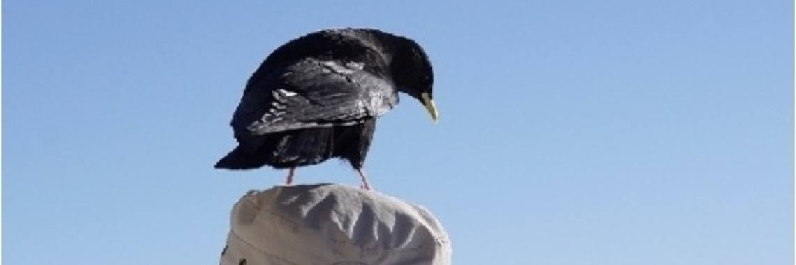 Stories: Is zij gek? | wakeupkitty