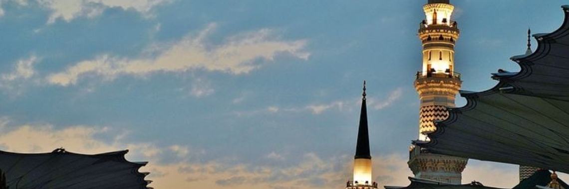 Stories: Kat en muisspel - de Bedevaartskater | wakeupkitty