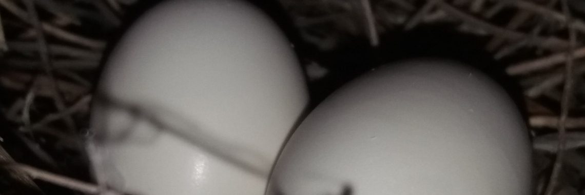 Stories: Misschien (140w) | wakeupkitty