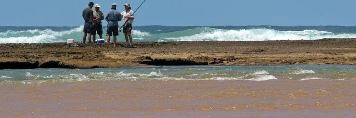 Stories: Mo gaat zeevissen | wakeupkitty