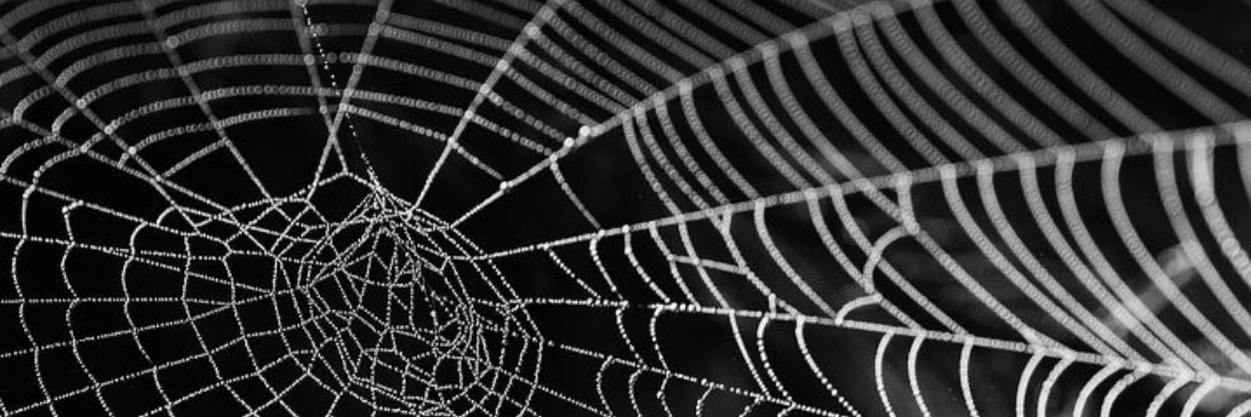 Stories: Nare Jan | wakeupkitty