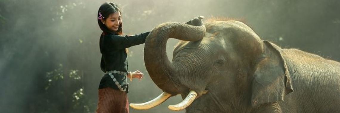 Stories: Olifant in porseleinkast - 3 (spreekwoorden verhaal) | wakeupkitty