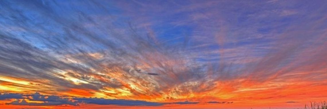 Stories: Sas de poetsster | wakeupkitty