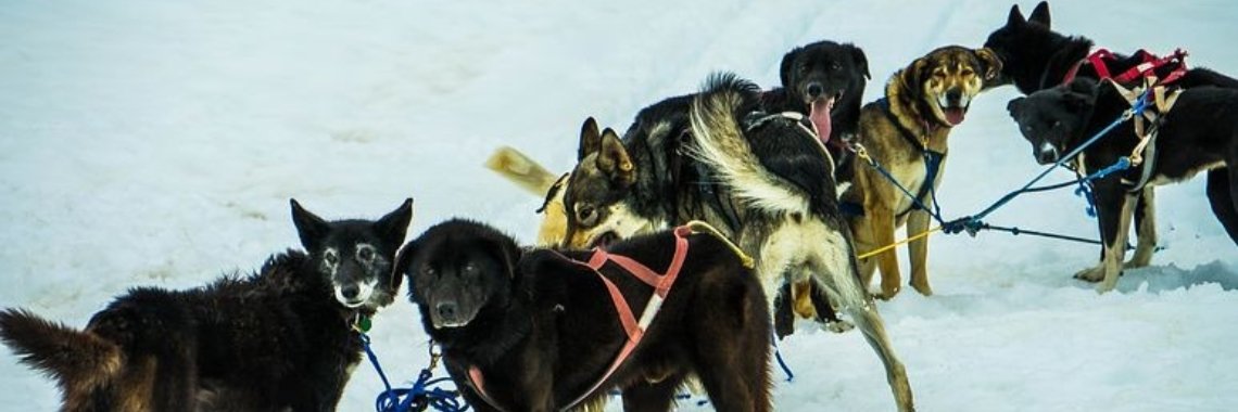 Stories: Vies zaakje - 10 | wakeupkitty