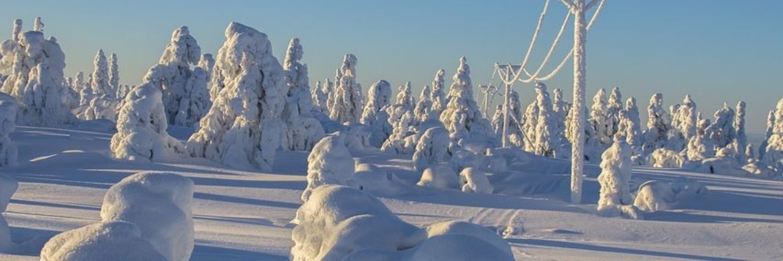 Stories: Vies zaakje - 11 (spreekwoordenverhaal) | wakeupkitty