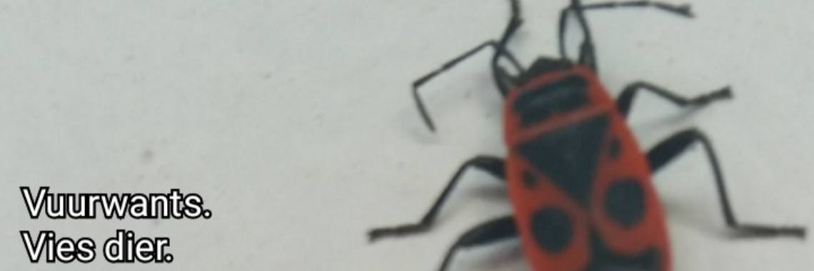 Stories: Vuurwants (e.d.i.t.) | wakeupkitty