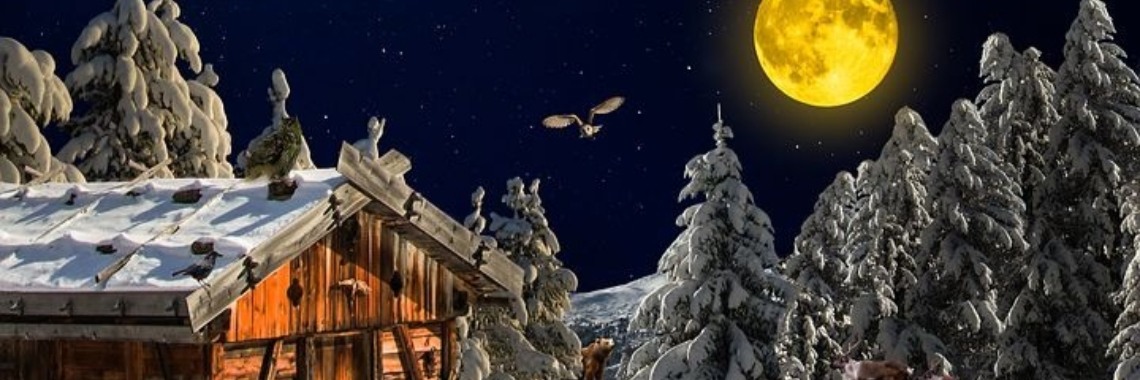 Stories: We zijn er bijna | wakeupkitty