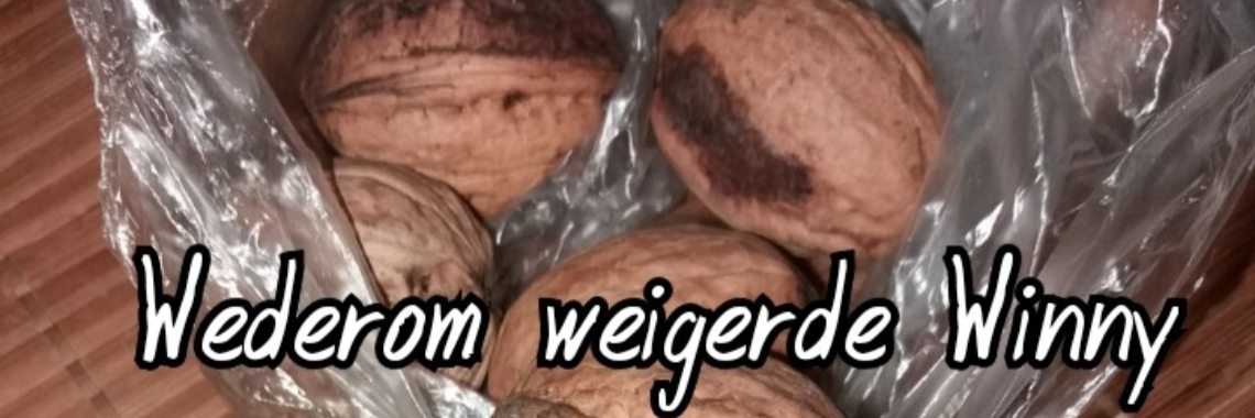 Stories: Winny Wachters Worst | wakeupkitty