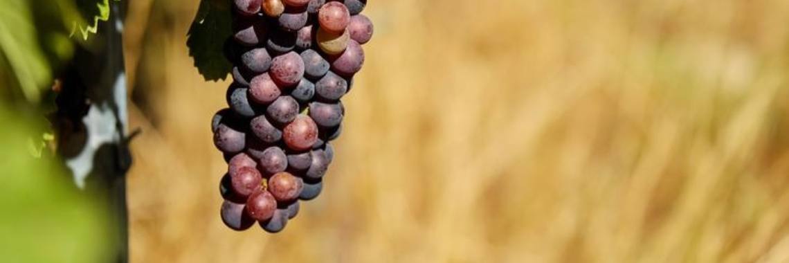 Stories: Zuur | wakeupkitty