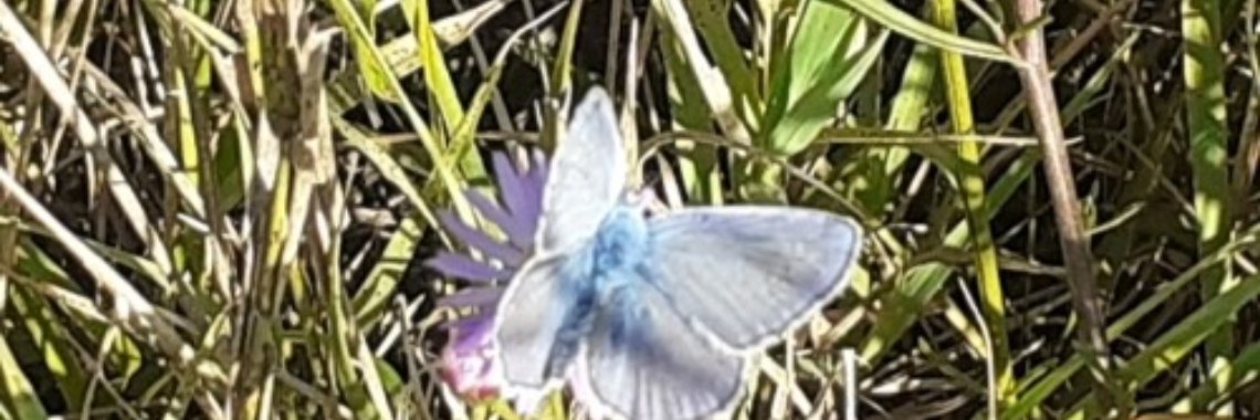 Uit het oog uit het hart? | wakeupkitty