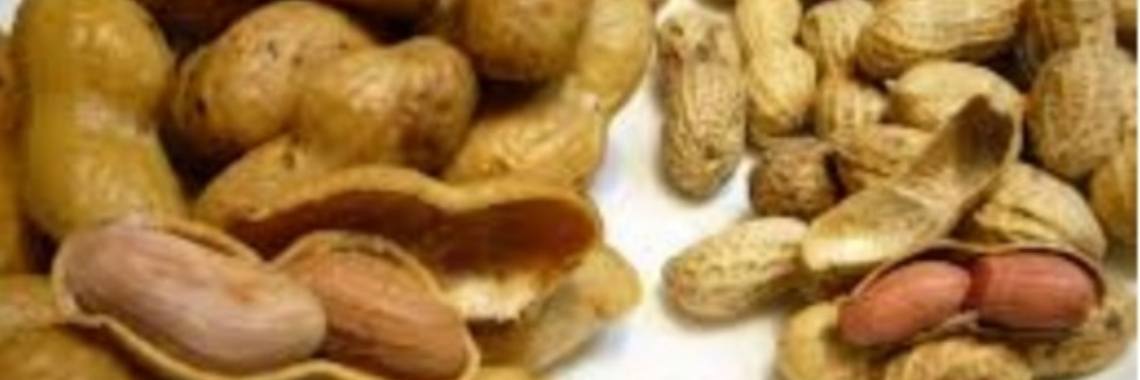 Medisch: Vroeg pinda's eten kan allergie voorkomen! | wakeupkitty