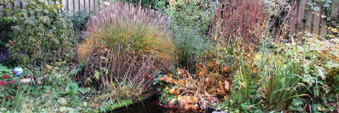 Wees maar lekker lui! | Marjolein Koning