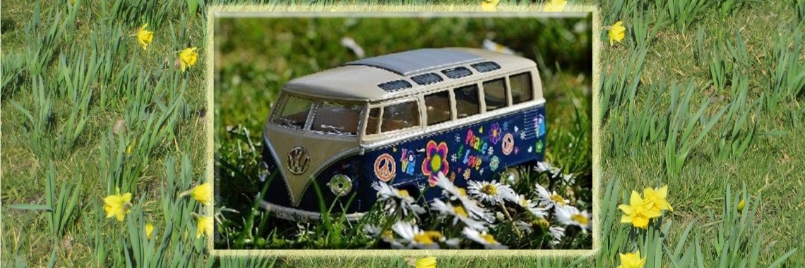Die bus dus! | Biz-ART-Lelystad