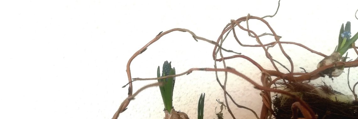 Creatief met Pasen.  | Schorelaar