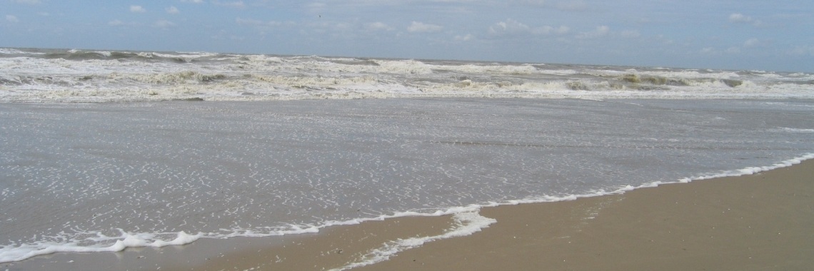 De amfibiebus gaat te water. | Schorelaar