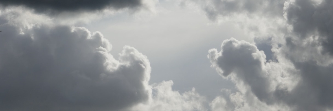 Ecorexia. | Schorelaar