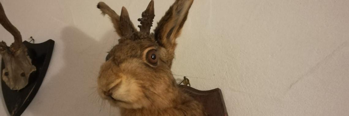 Een eenzaam elfje (2) | Schorelaar