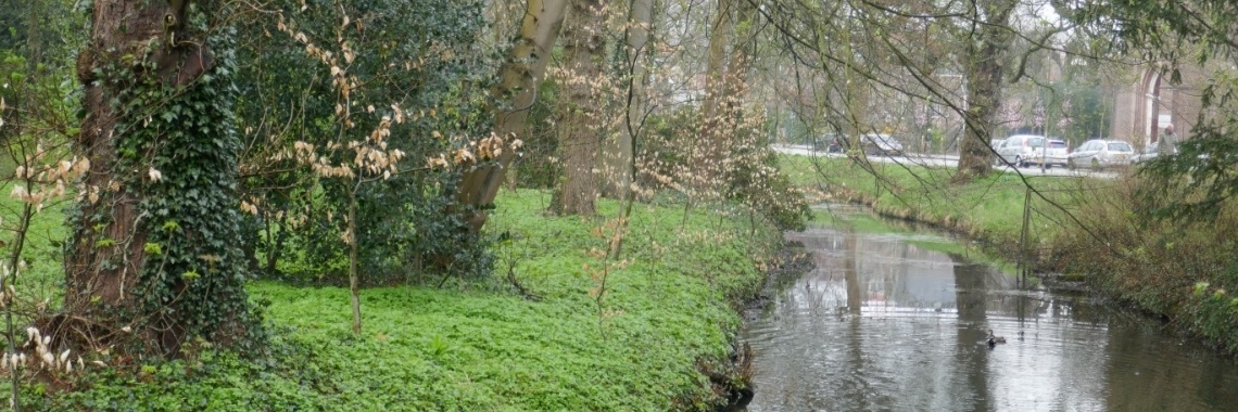 #Even voorstellen:Hetty | Schorelaar