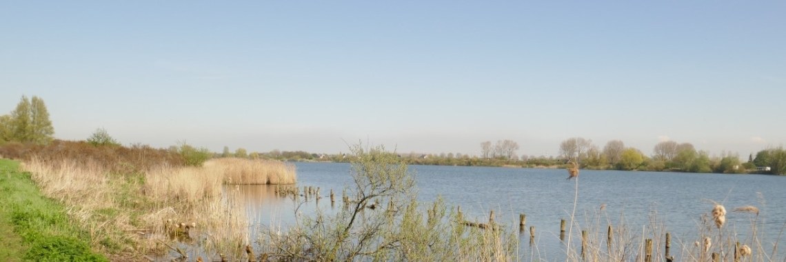 #Even voorstellen Mien | Schorelaar