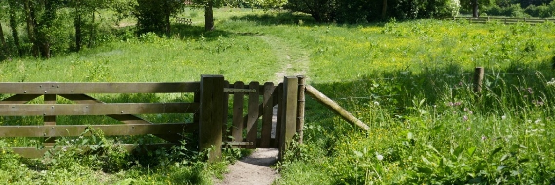 #Even voorstellen, Piet. | Schorelaar