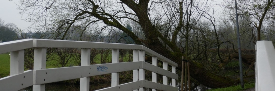 #Even voorstellen: Rie | Schorelaar