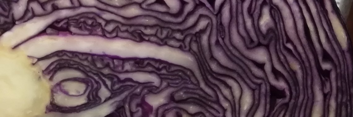 Gefermenteerde rode kool. | Schorelaar