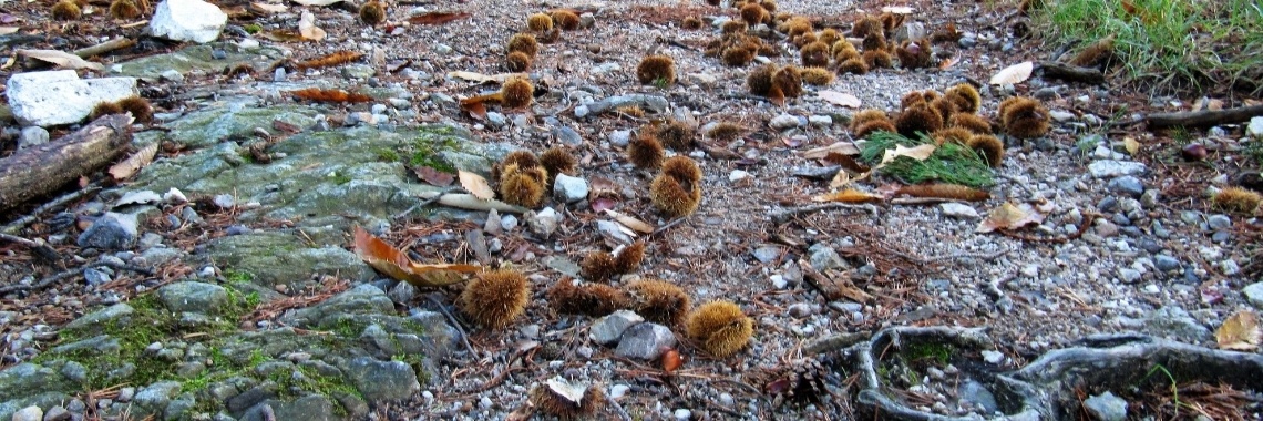 Herfst in La Brigue. | Schorelaar