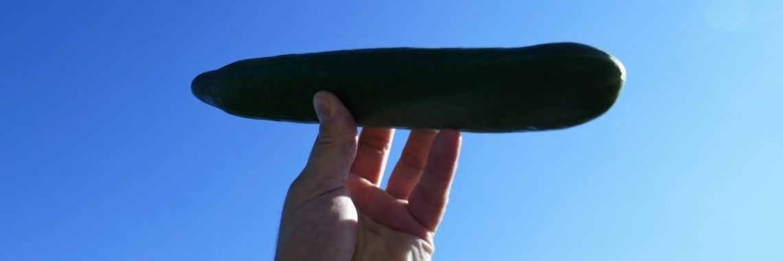 Komkommertijd. | Schorelaar