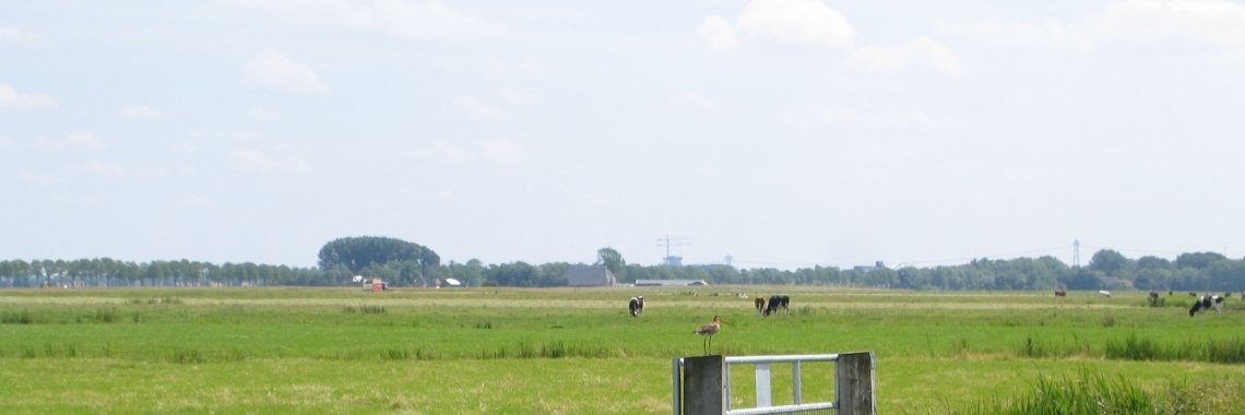 Mijn wekelijkse mantelzorg dag. | Schorelaar