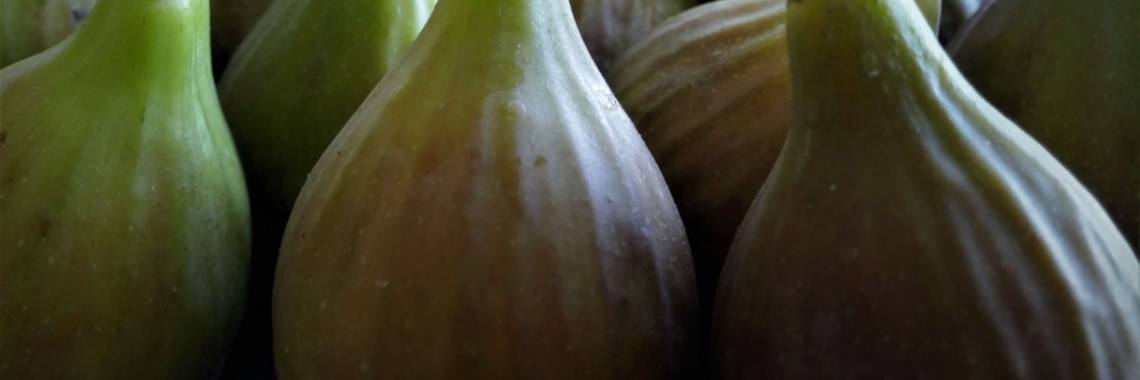 Re: De vijg, een kleine vrucht die barst van de antioxidanten | Schorelaar