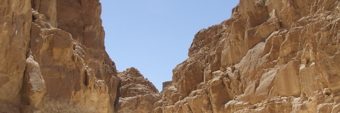 Sterrenhemel | Schorelaar