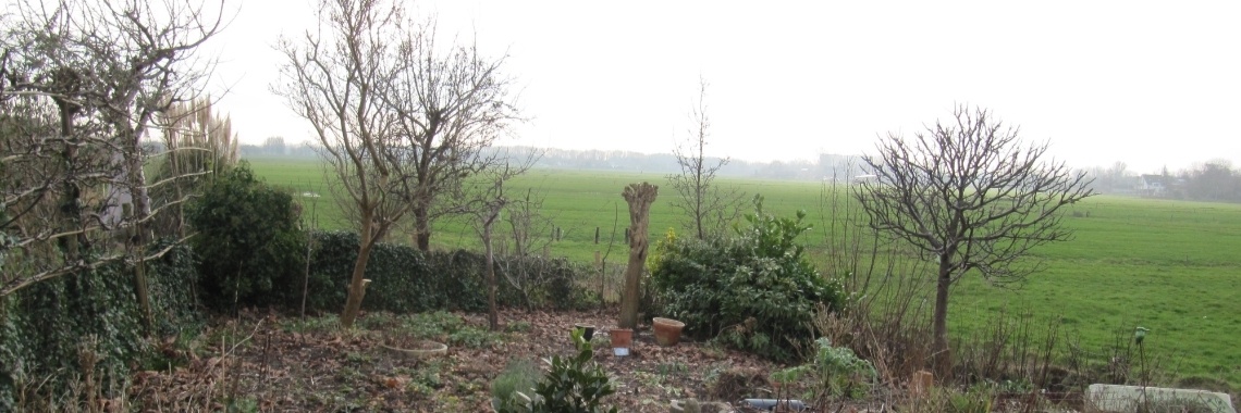 Wintertuin | Schorelaar