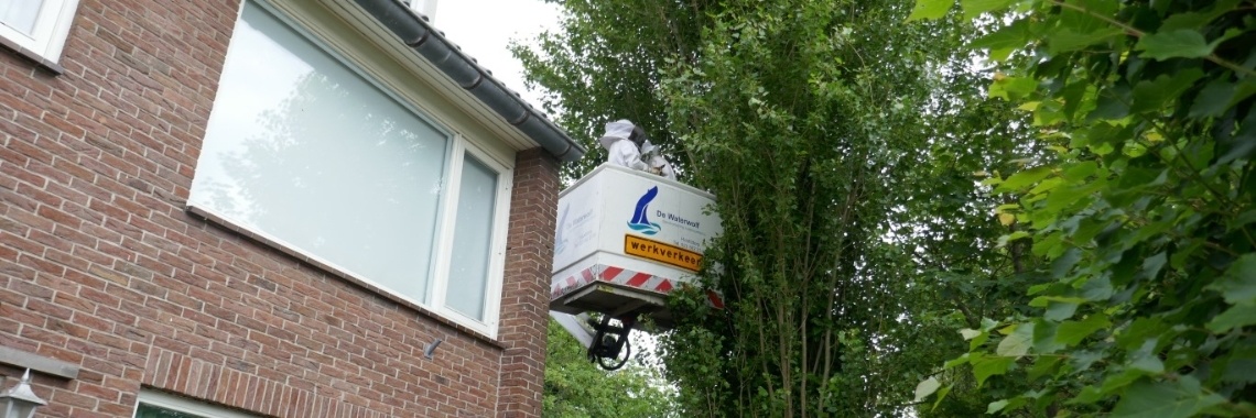 Zwermdienst, we kunnen niet altijd helpen. | Schorelaar