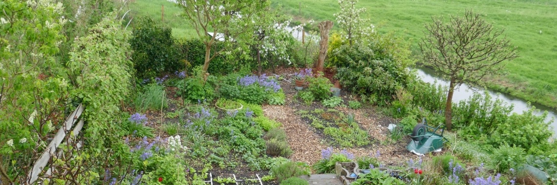 10 gemakkelijke voorjaarsgroenten uit je tuin. | Schorelaar